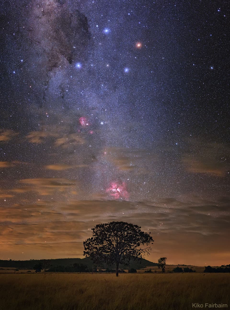 Carina in Perspective
