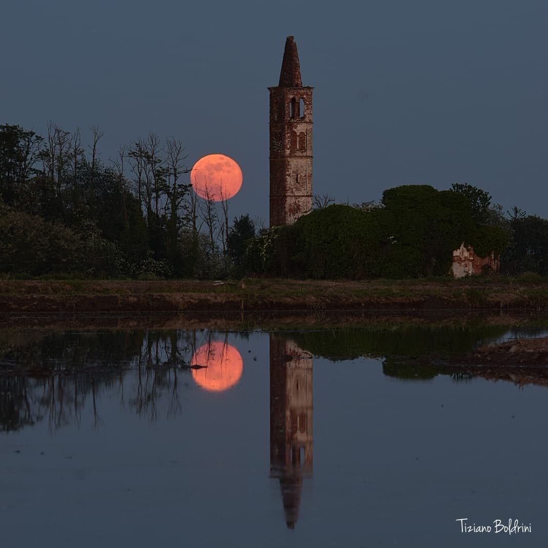 Full Flower Moonrise