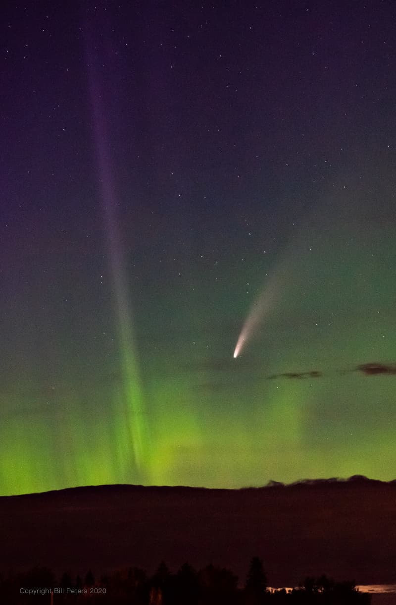 NEOWISE of the North