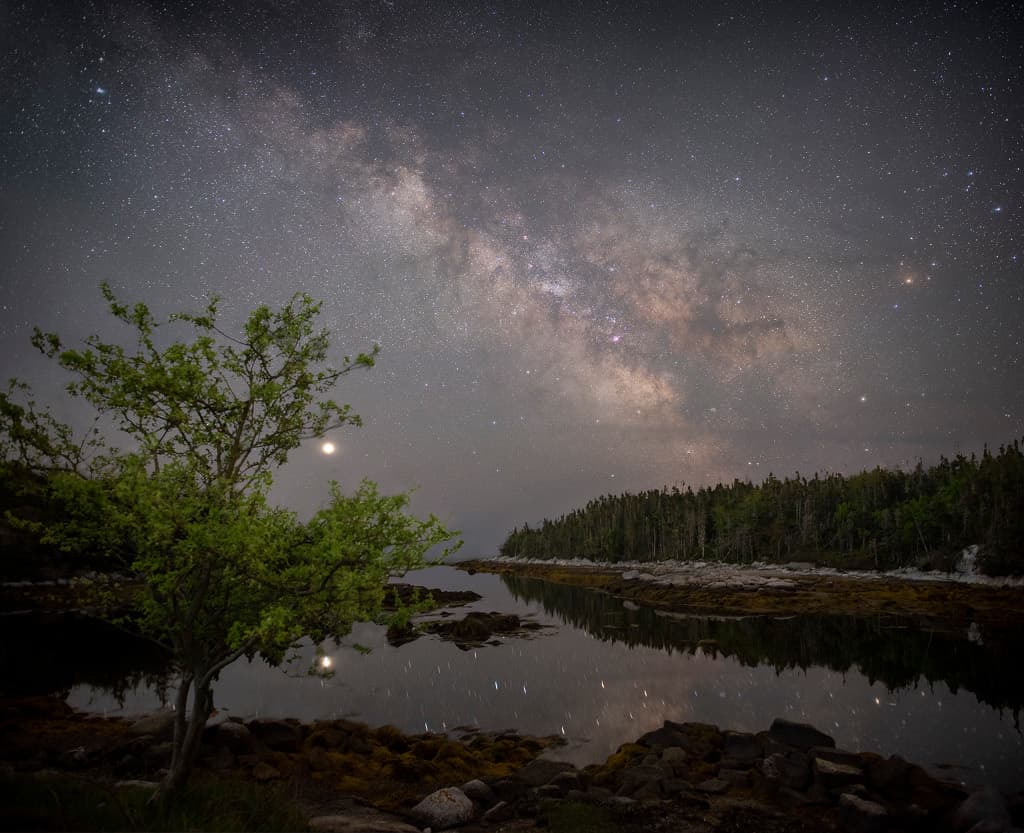 The Galaxy, the Planet, and the Apple Tree
