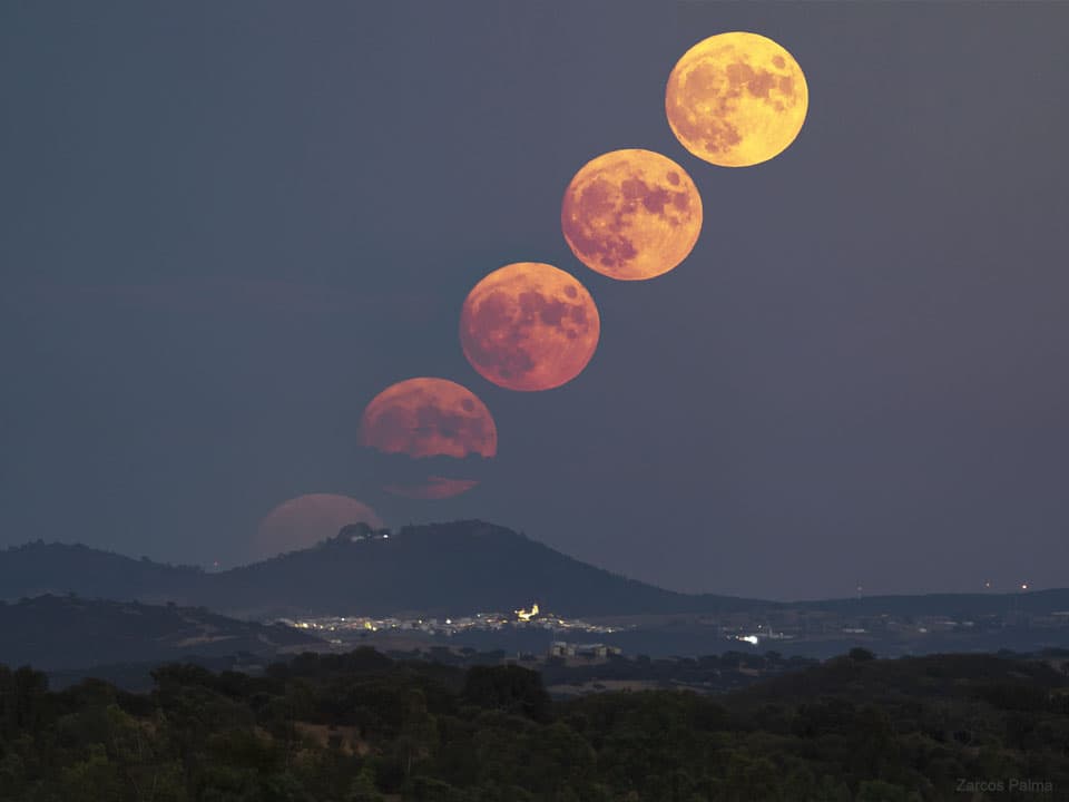 Corn Moon Rising
