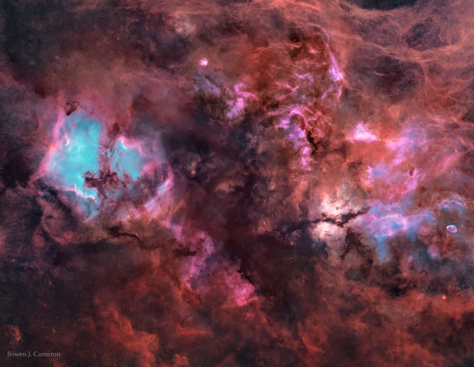 Cygnus Without Stars
