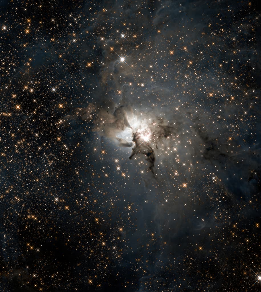 Central Lagoon in Infrared