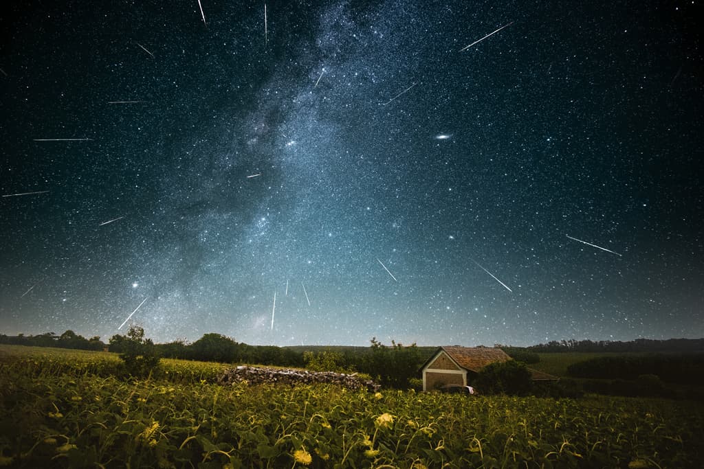 Three Perseid Nights