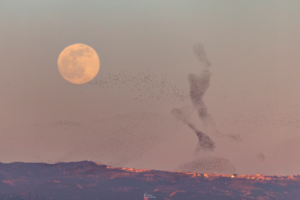 The Full Moon and the Dancer