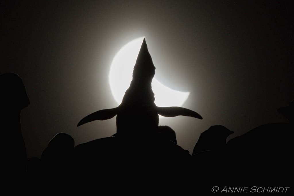 Ecstatic Solar Eclipse