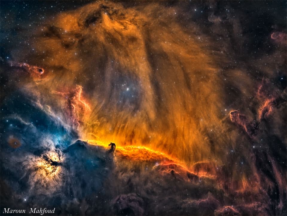 A Lion in Orion