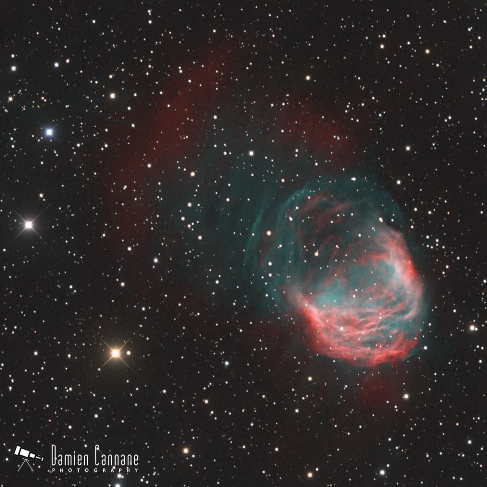 The Medusa Nebula