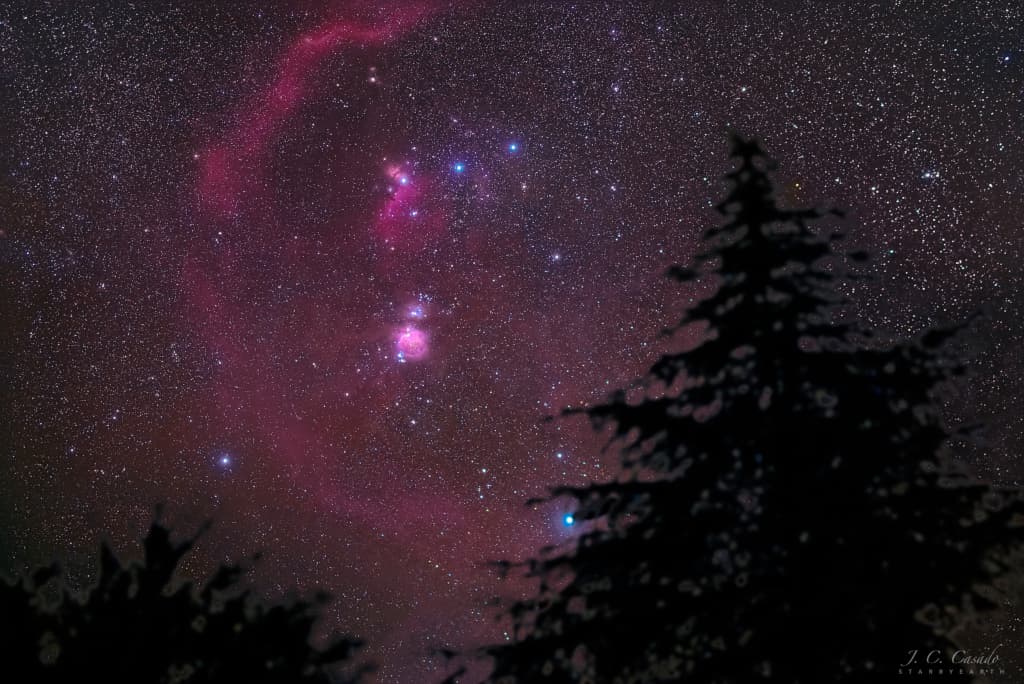 Orion Pines