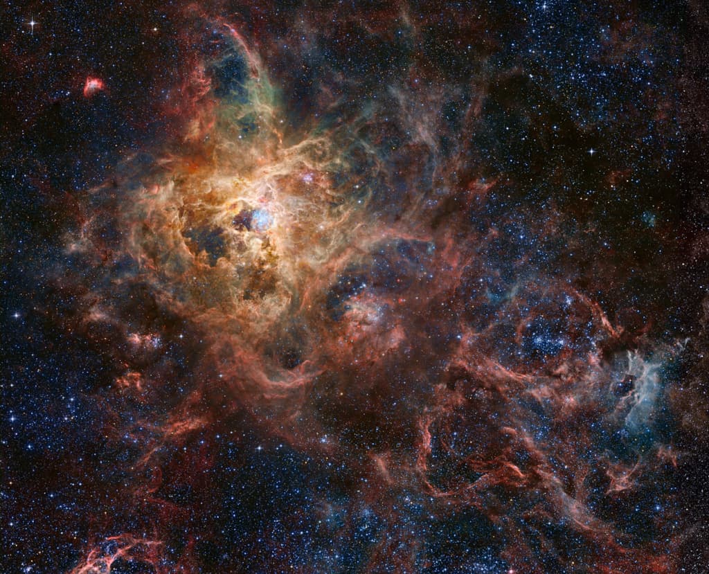 The Tarantula Zone