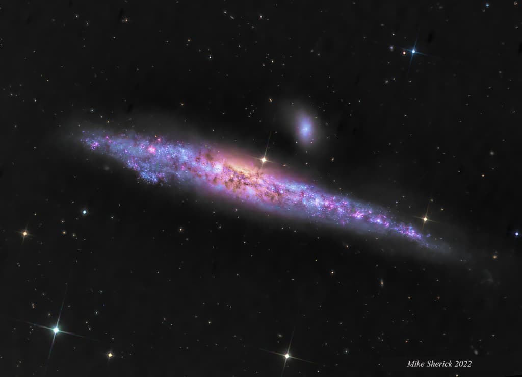 NGC 4631: The Whale Galaxy