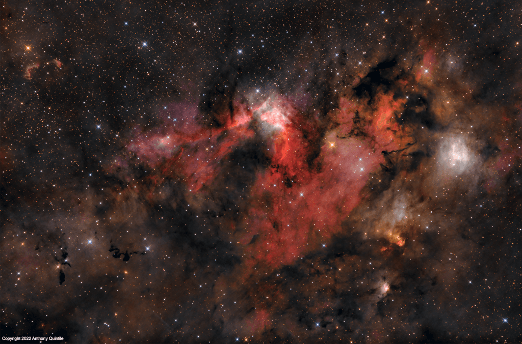 The Light, the Dark, and the Dusty
