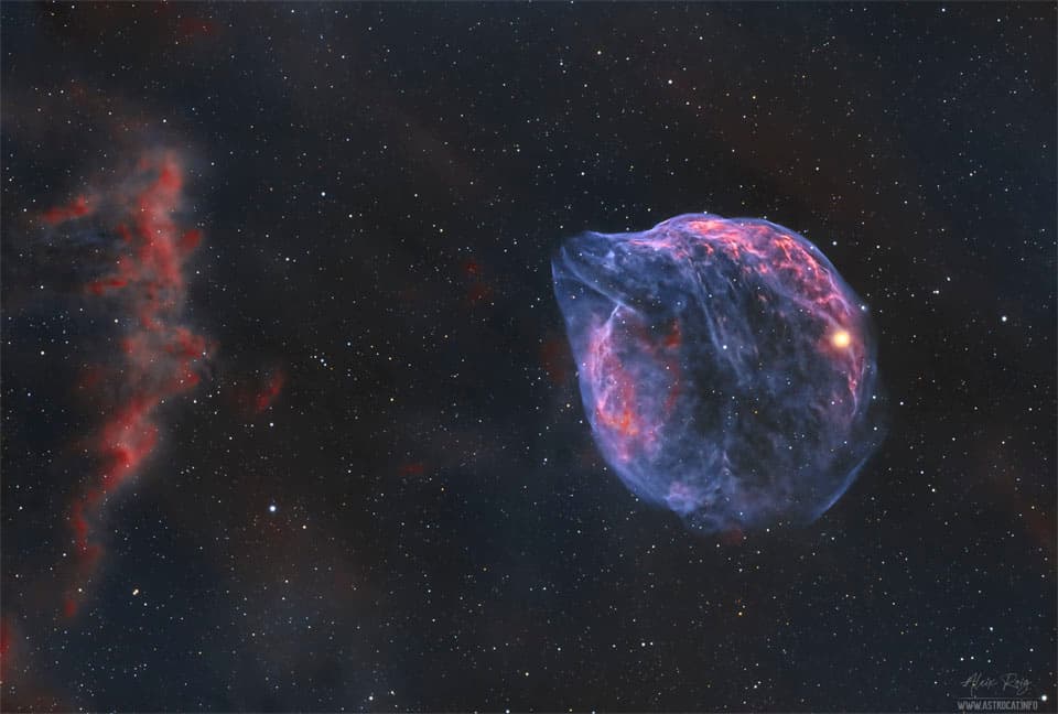 Sh2-308: A Dolphin Shaped Star Bubble