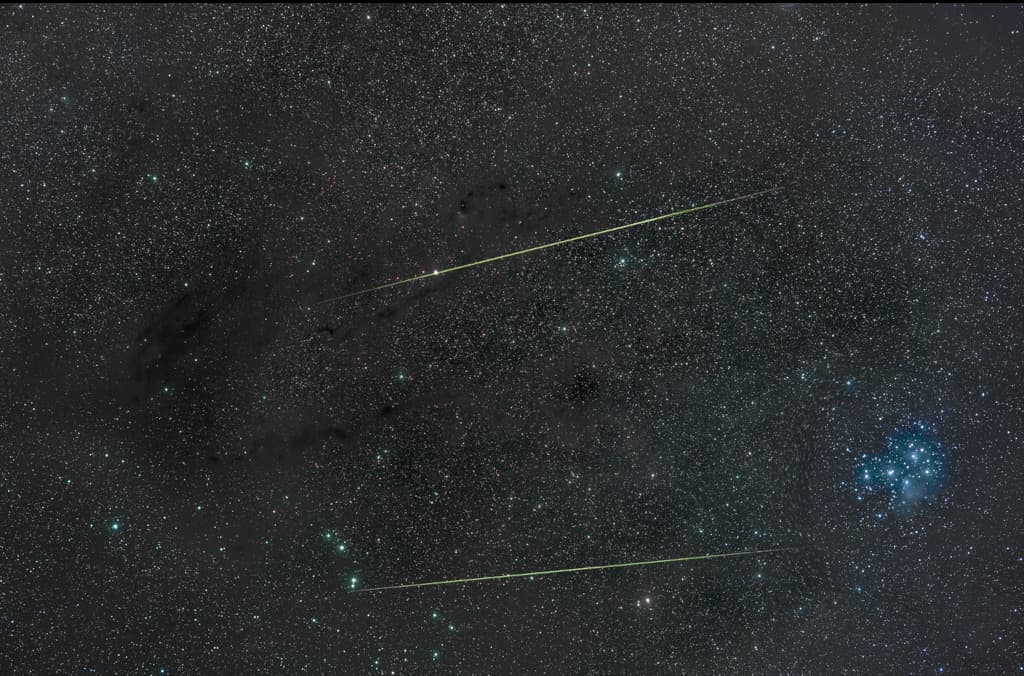 Orionids in Taurus