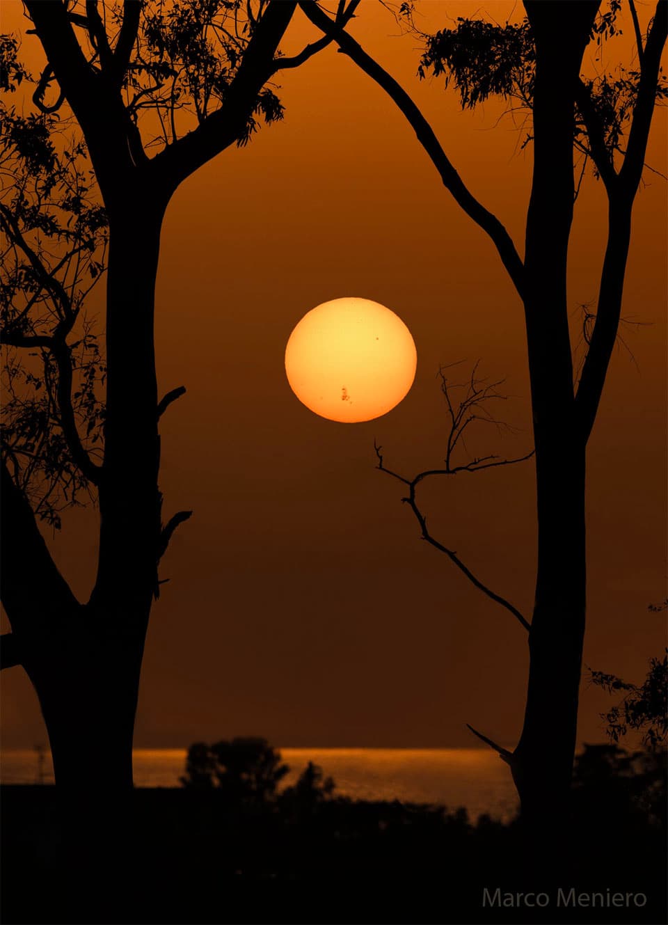 AR 3664 on a Setting Sun