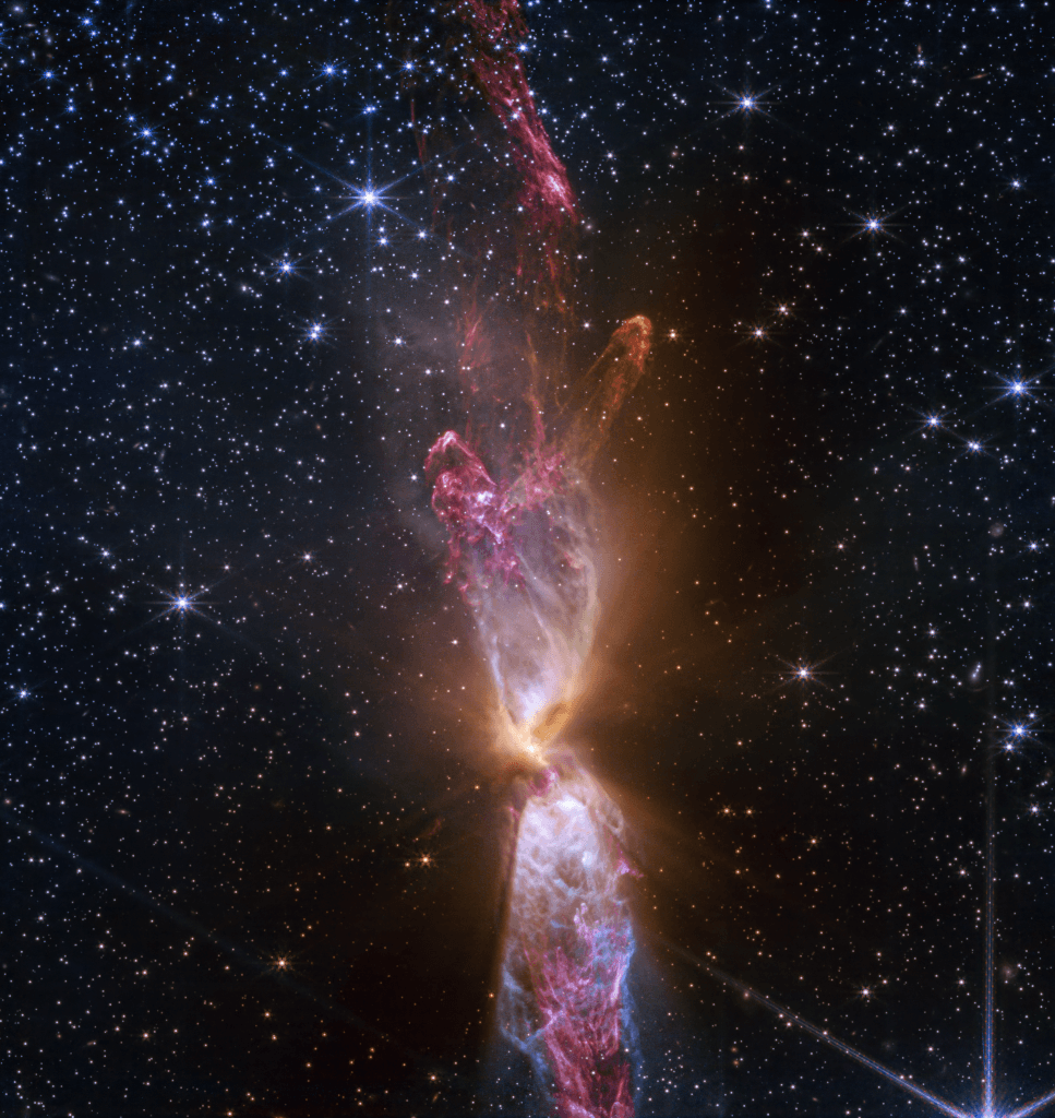 The Protostars within Lynds 483