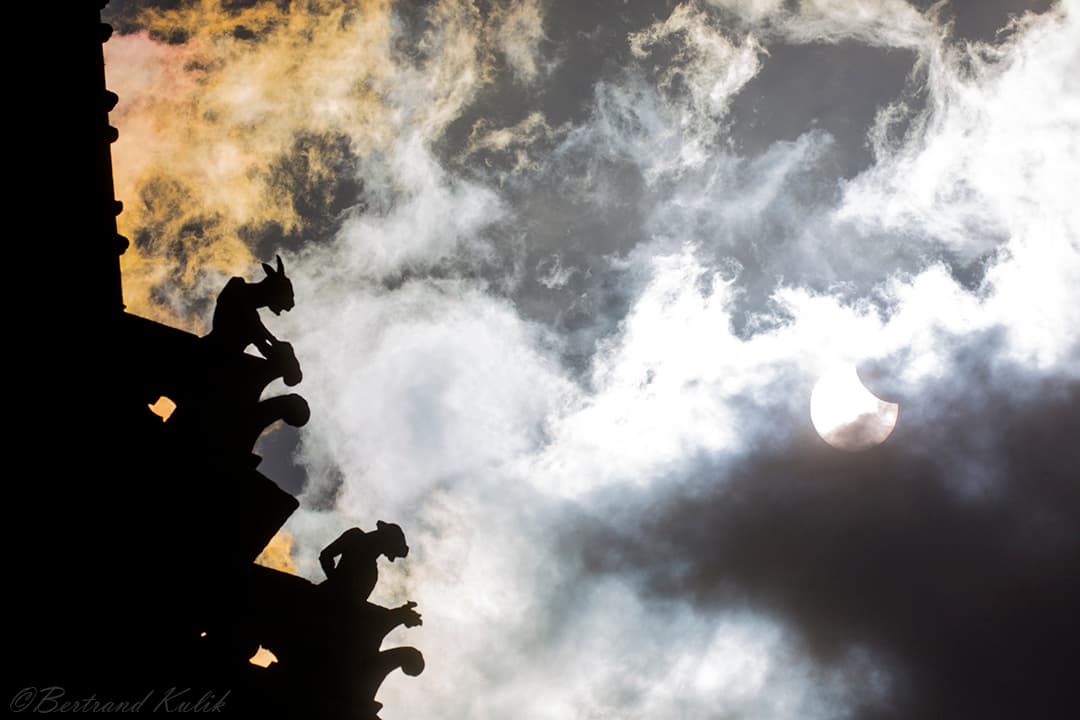 The Gargoyles' Eclipse