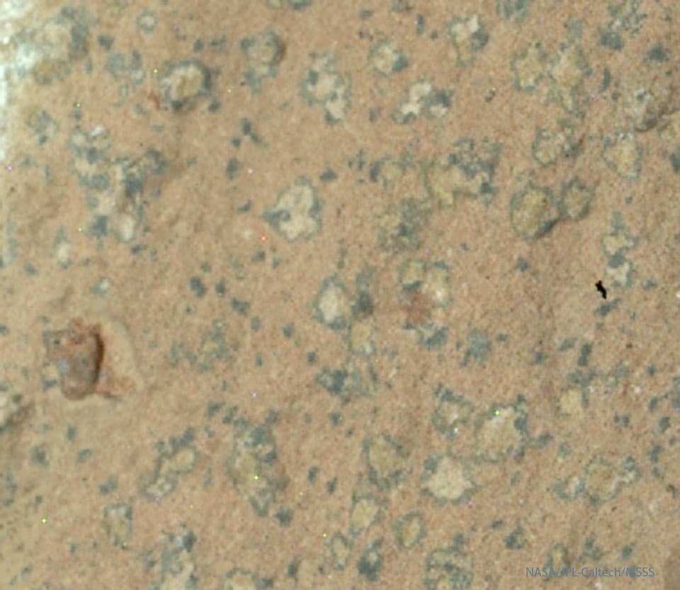 Leopard Spots on Martian Rocks