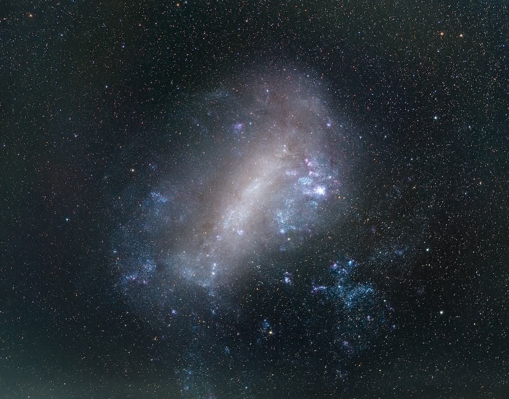 The Large Magellanic Cloud