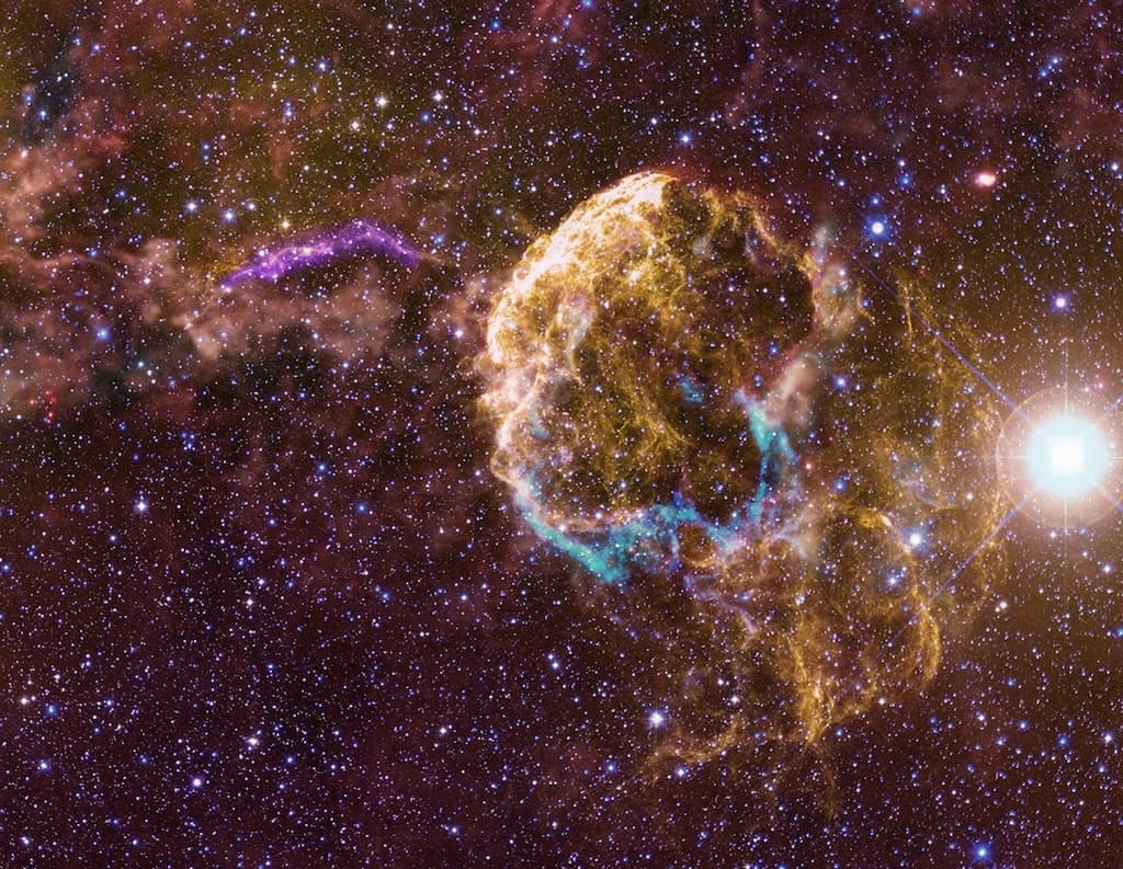 Sibling Supernova Remnants