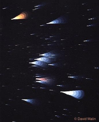 Orion's Star Colors

Credit and Copyright: