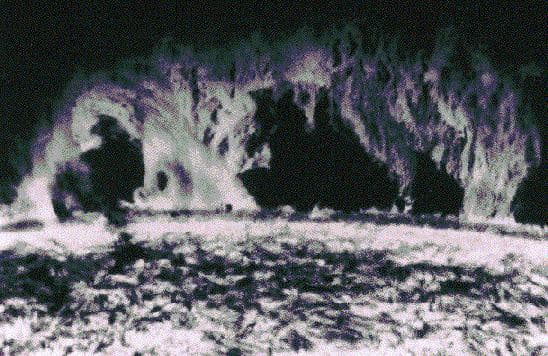 A Prominent Solar Prominence