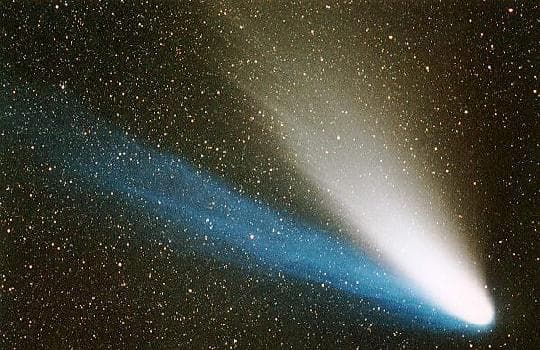 Springtime Comet Fever
Credit: