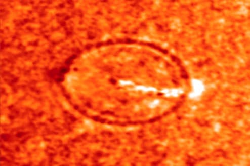 Solar Flares Cause Sun Quakes