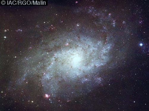 Nearby Spiral M33