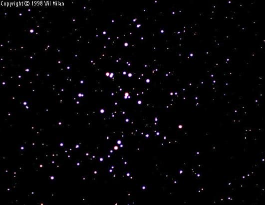 M44: A Beehive of Stars