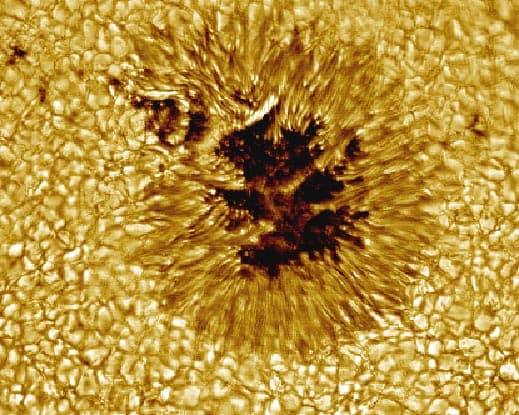 A Sunspot Up Close