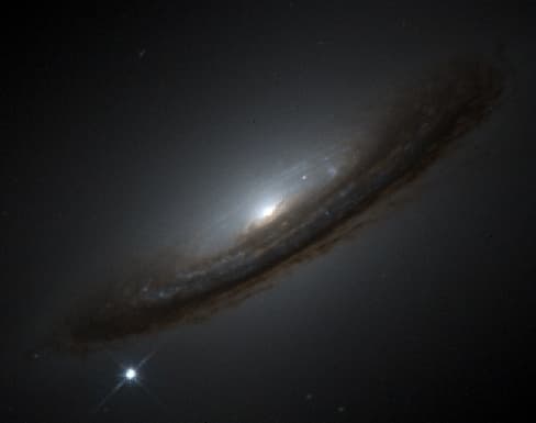 Supernova 1994D and the Unexpected Universe