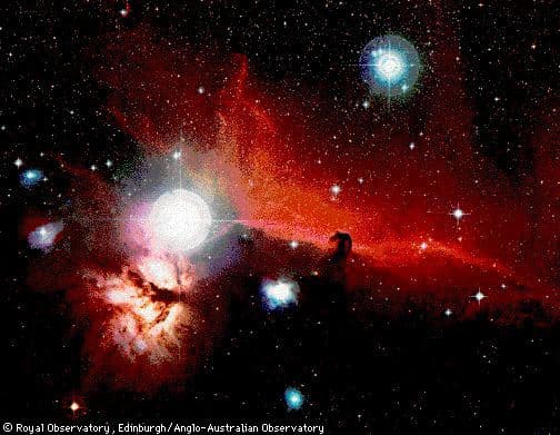 Orion's Horsehead Nebula