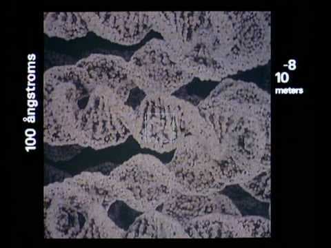 Video: Powers of Ten