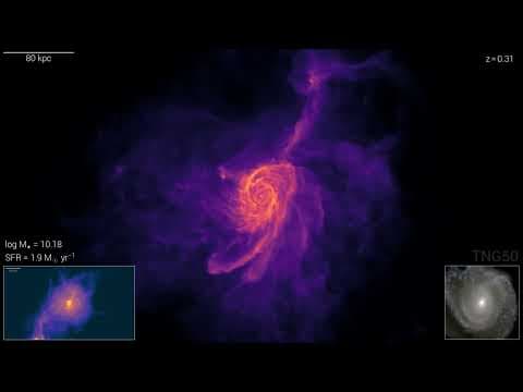 Simulation: A Disk Galaxy Forms