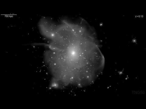 Simulation TNG50: A Galaxy Cluster Forms