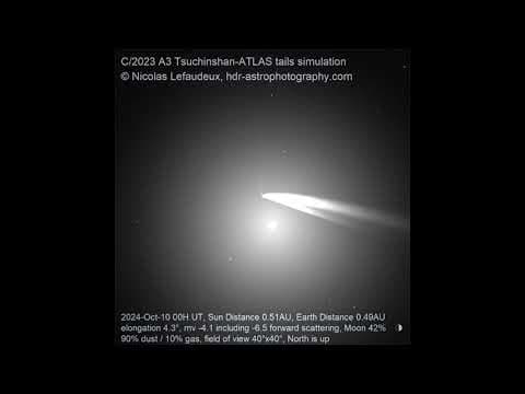 Animation: Comet Tsuchinshan-ATLAS Tails Prediction