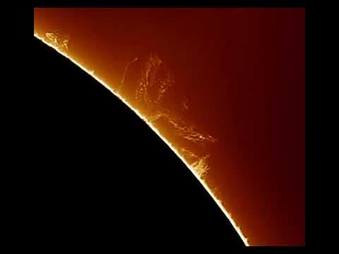 An Active Prominence on the Sun