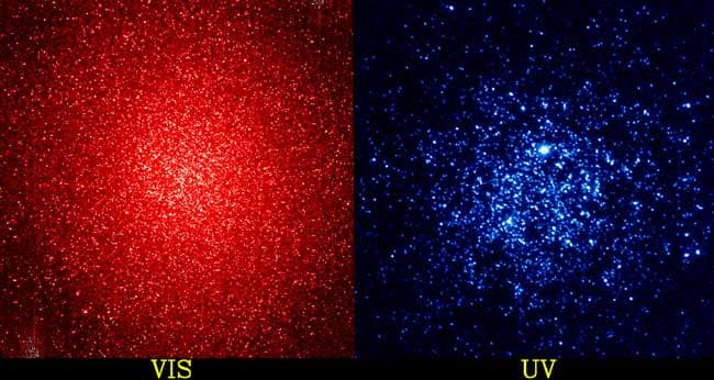 Globular Cluster Omega Centauri