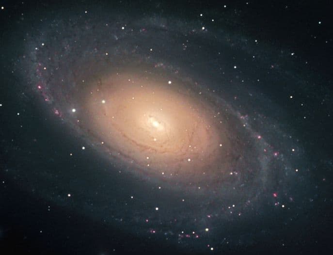 Bright Galaxy M81
