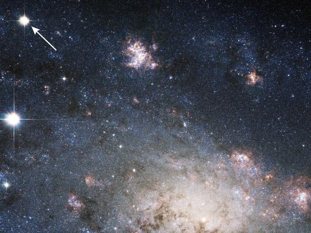 A Supernova in Nearby Galaxy NGC 2403