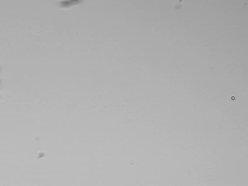 Help Search for Interstellar Dust