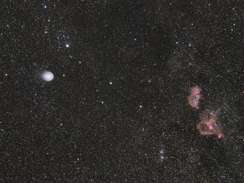 A Year of Spectacular Comets