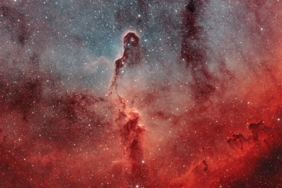 The Elephant's Trunk in IC 1396