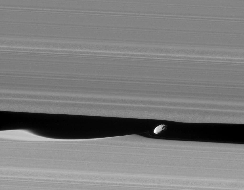 Daphnis the Wavemaker