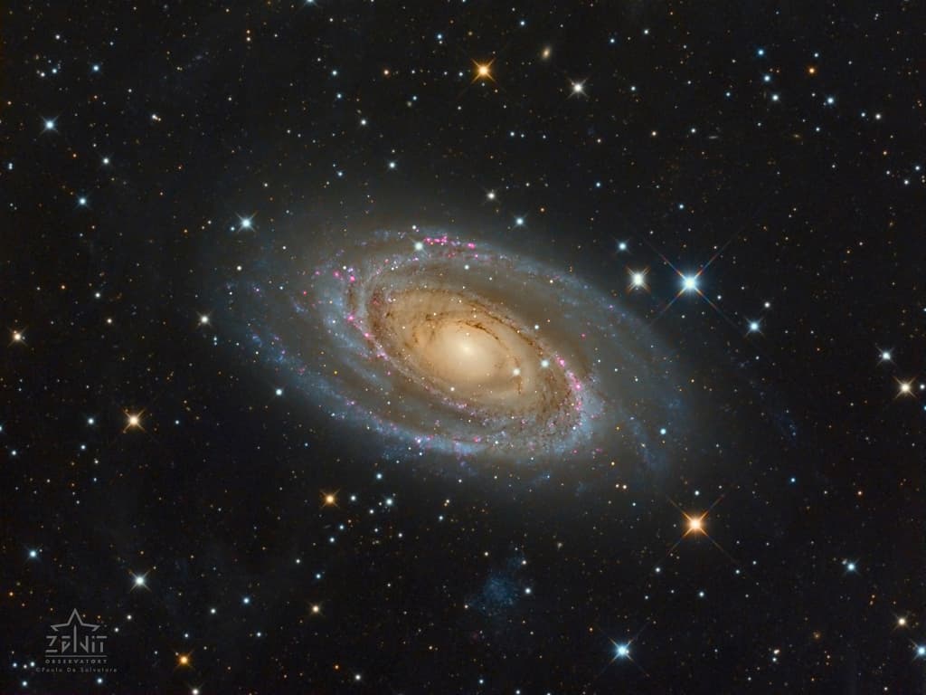 Messier 81
