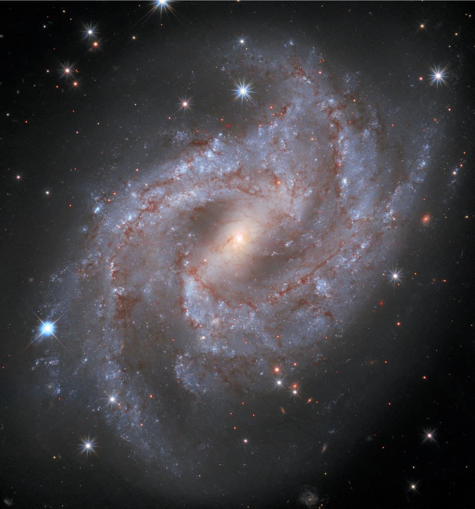Supernova in NGC 2525