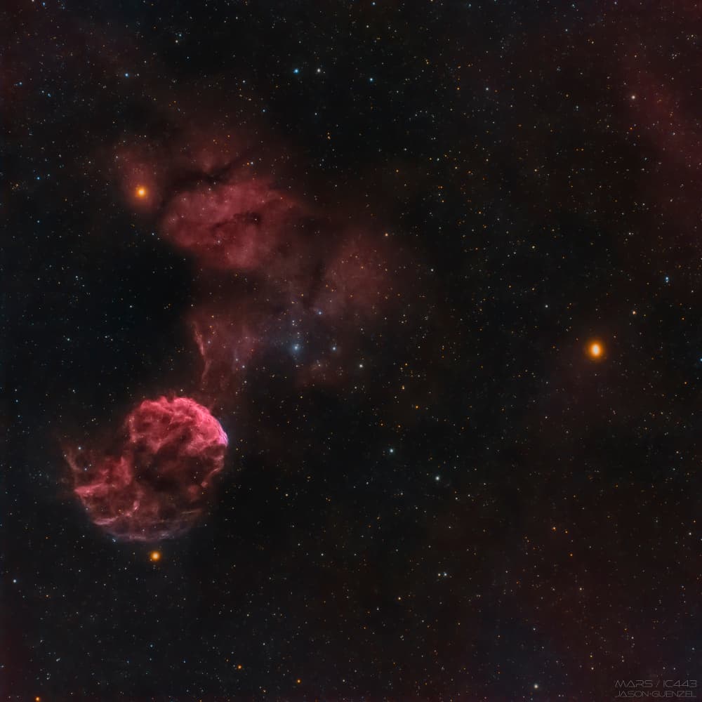 The Jellyfish and Mars