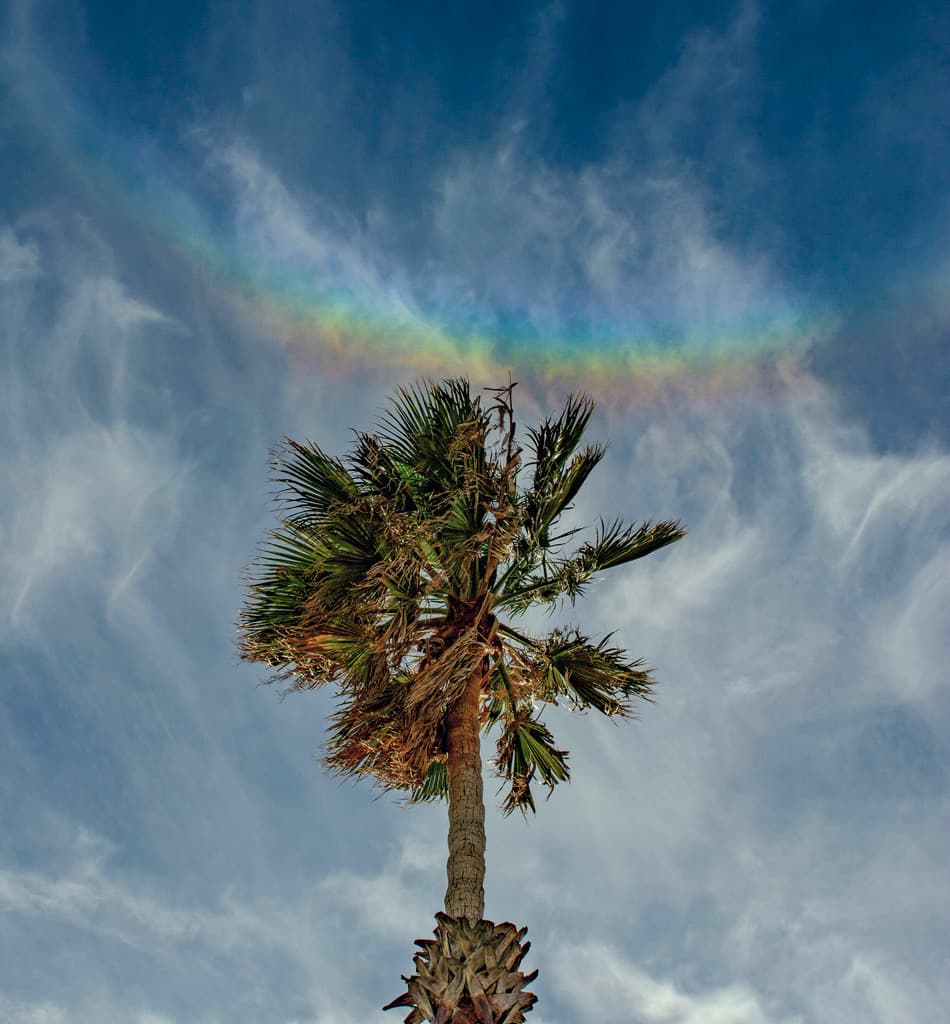 When Rainbows Smile
