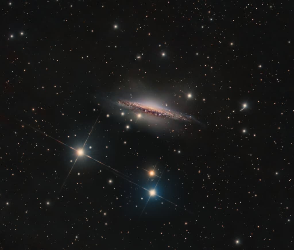 Portrait of NGC 1055